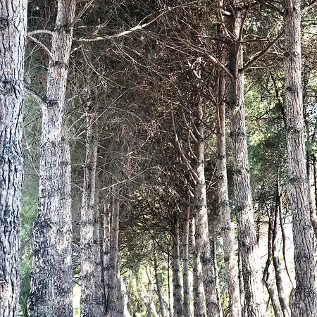 Casa Lux Montesilvano Marina